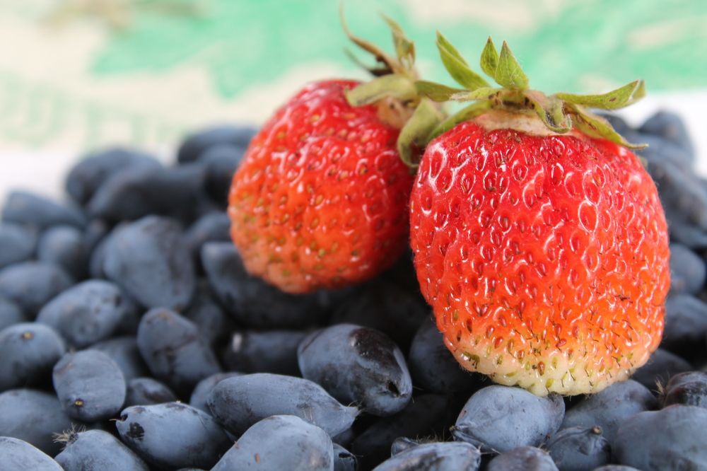 Фотография автора Дарья Рогозина