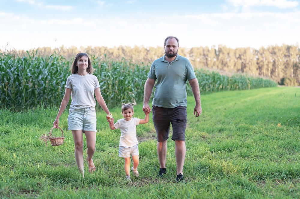 В кукурузе нашли...