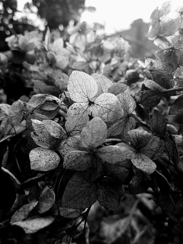 Photograph by Наталья Покрепина