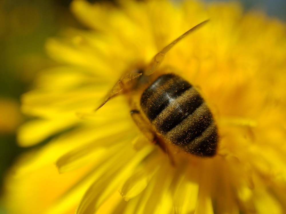 Фотография автора Aliaksandr Kazhdan