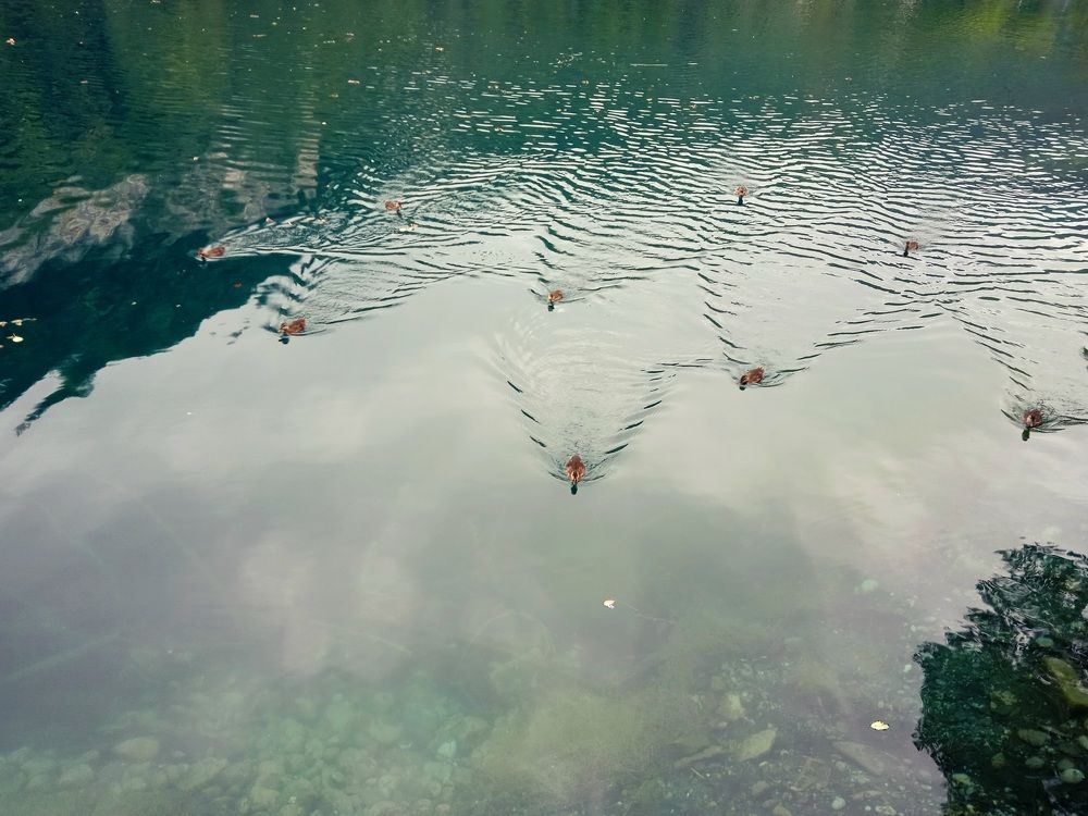 Photograph by Наталья Покрепина