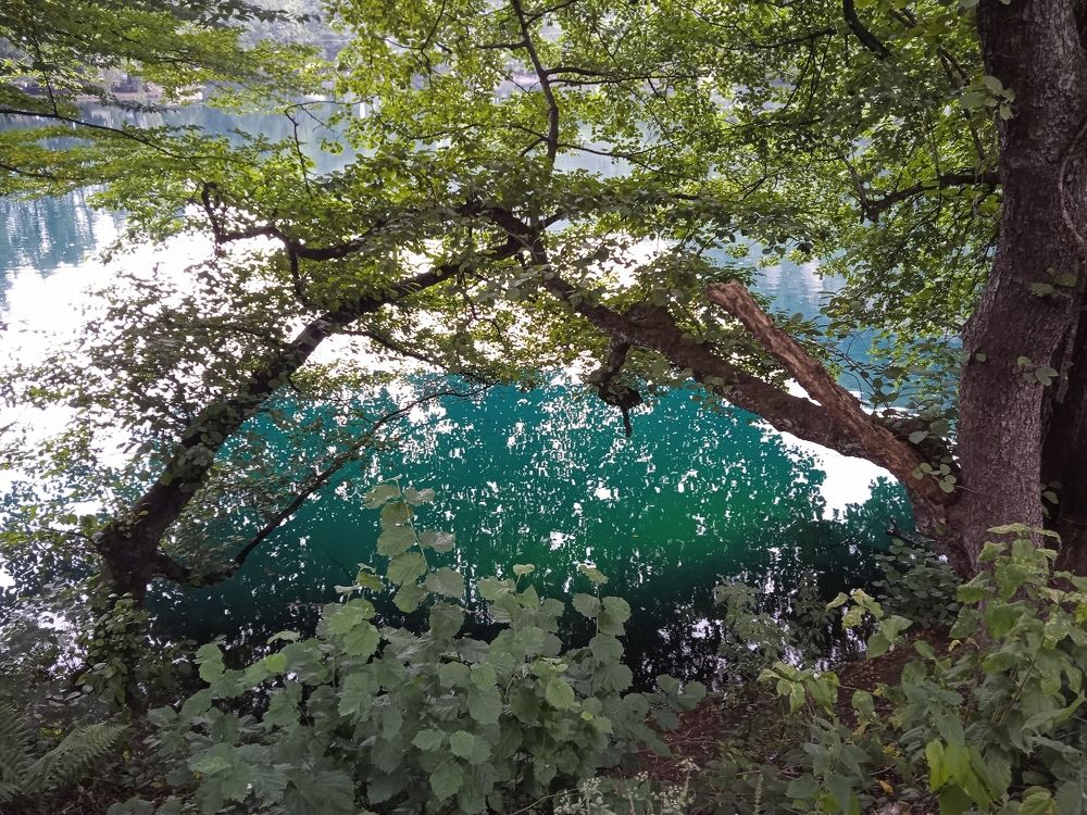 Photograph by Наталья Покрепина