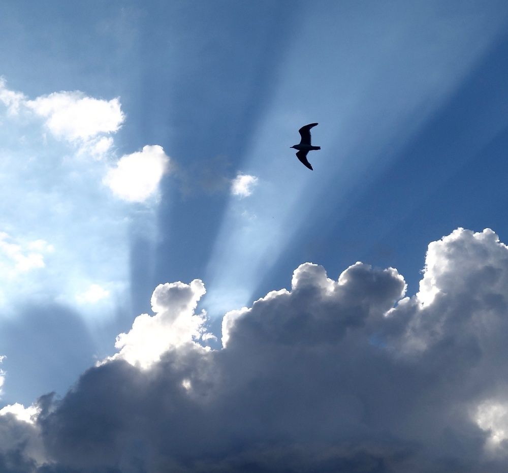 Photograph by Елена Жукова