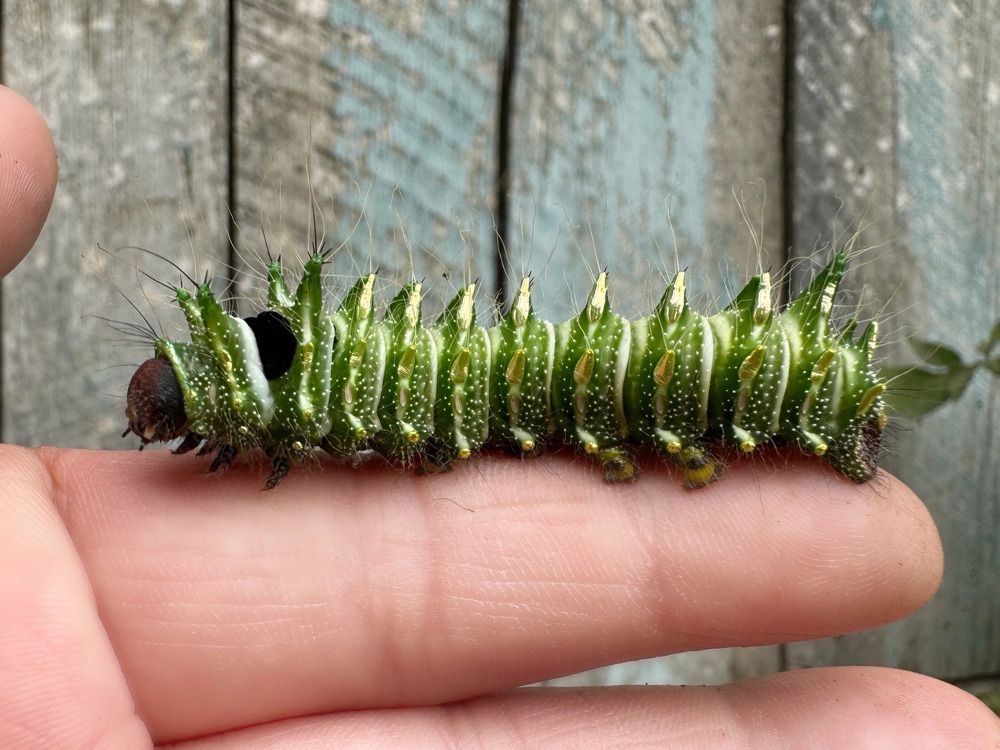 Photograph by Елена Солодовник