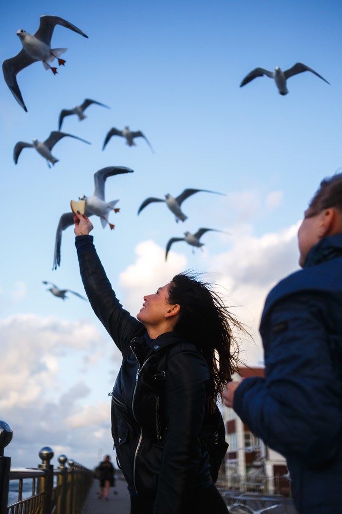 Photograph by Чепрасов Вадим