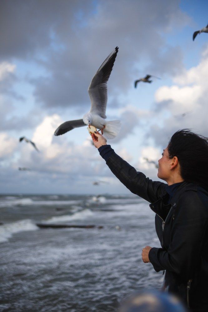 Photograph by Чепрасов Вадим