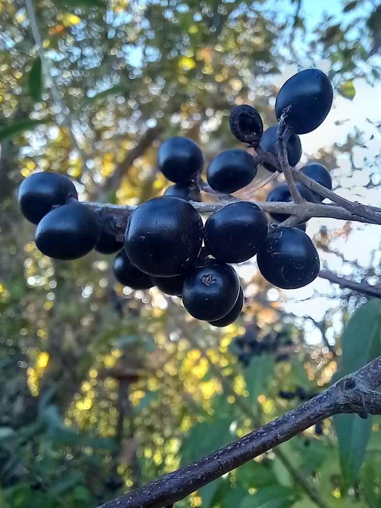 Photograph by Наталья Покрепина