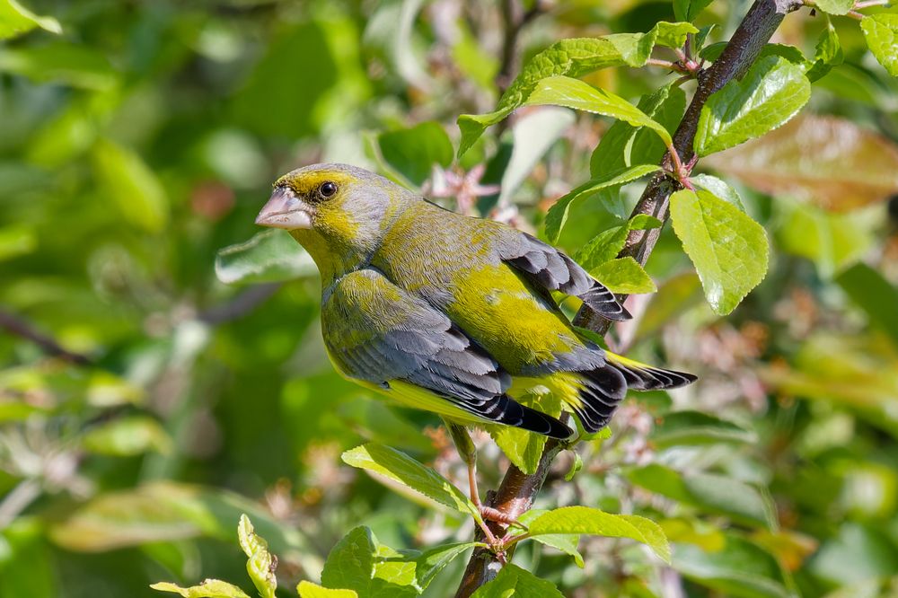 Photograph by Андрей Иванов