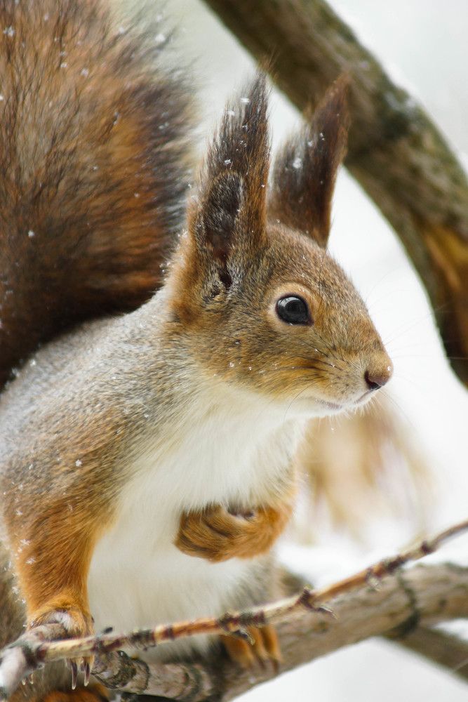 Photograph by Наталья Екимова