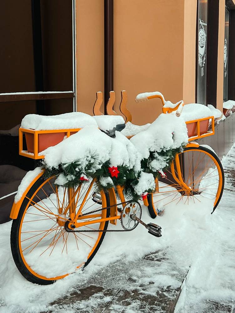 Фотография автора Юлия Осетрова