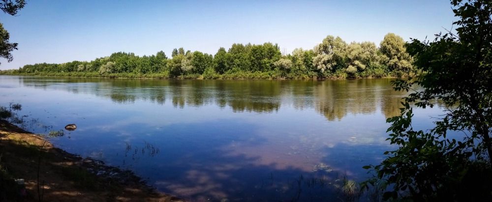 Photograph by Mishel Photographer