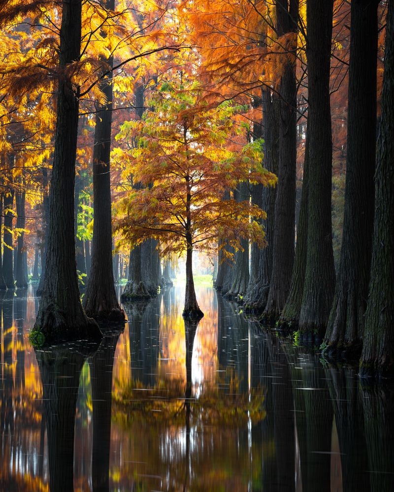 Photograph by Ni Bruce