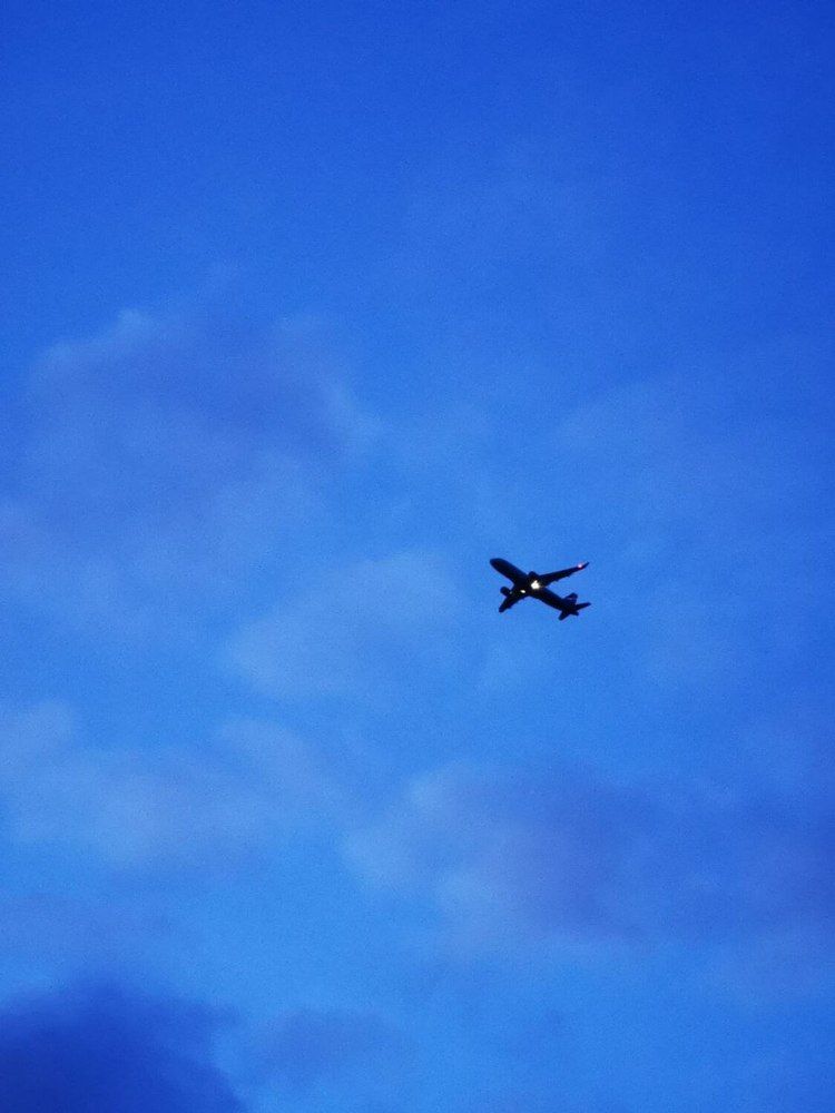 Фотография автора Андрей Богданов