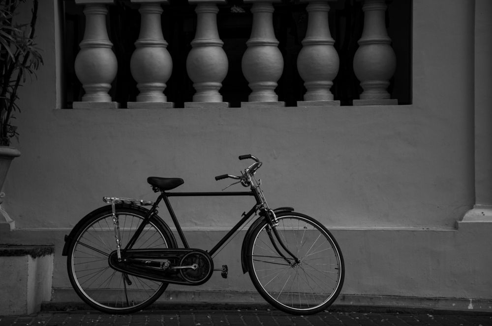 Photograph by Chamara Sulakkhana Polwatta Siriyalage