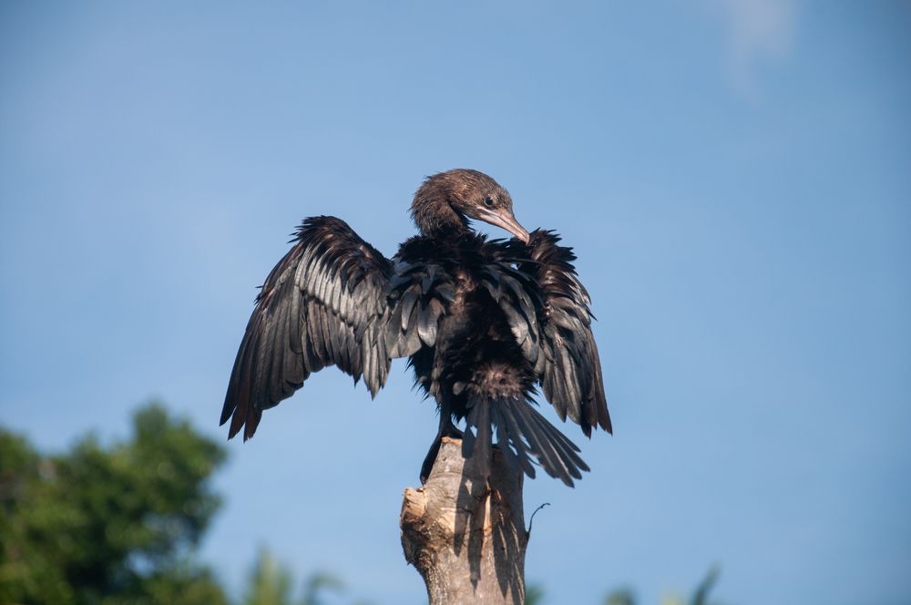 Photograph by Chamara Sulakkhana Polwatta Siriyalage