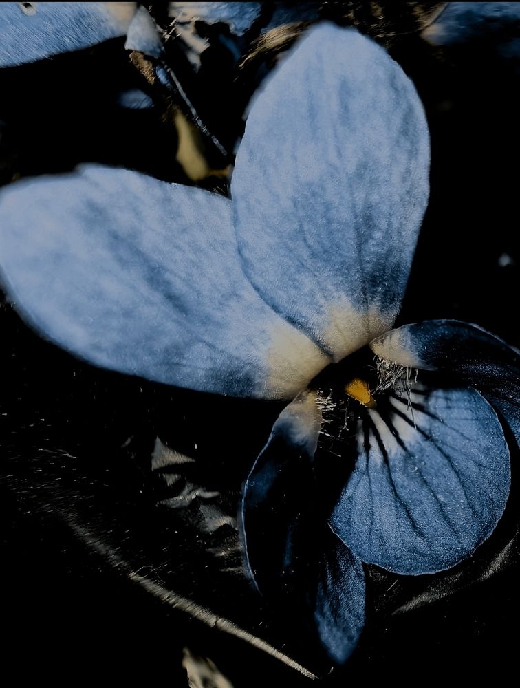 Photograph by Ирина Тихая