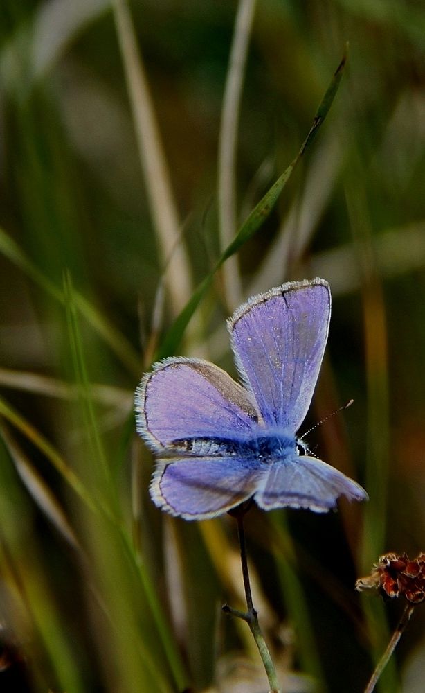 Photograph by Ирина Тихая