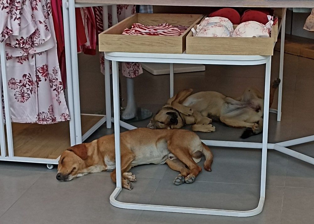 Photograph by Алия Байсыкова