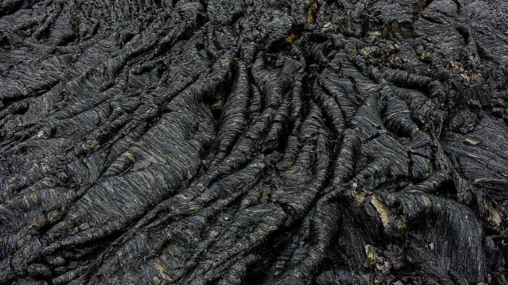 Фотография автора Александр Довганюк