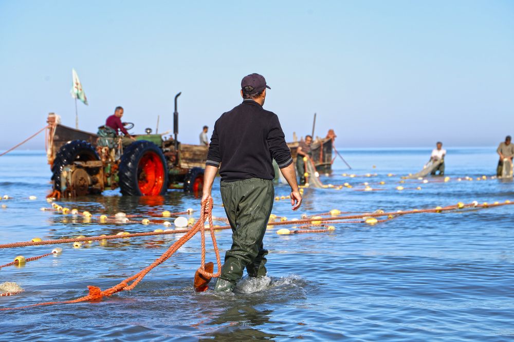 Photograph by reza haghjooy