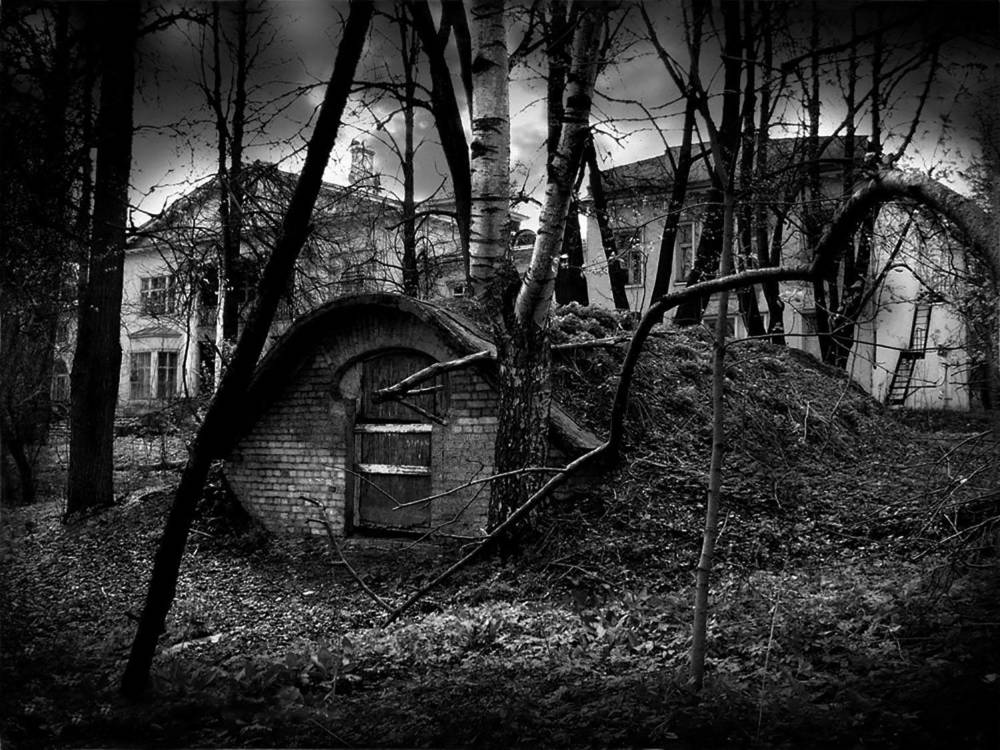 Photograph by Владимир Гречанинов