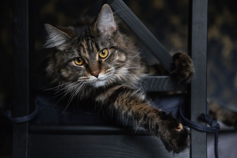 Photograph by Татьяна Степанова