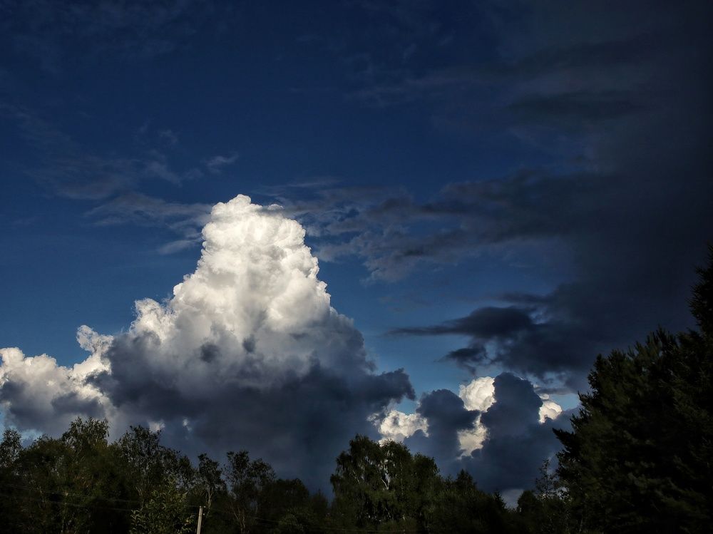 Photograph by Angelica Medvedeva