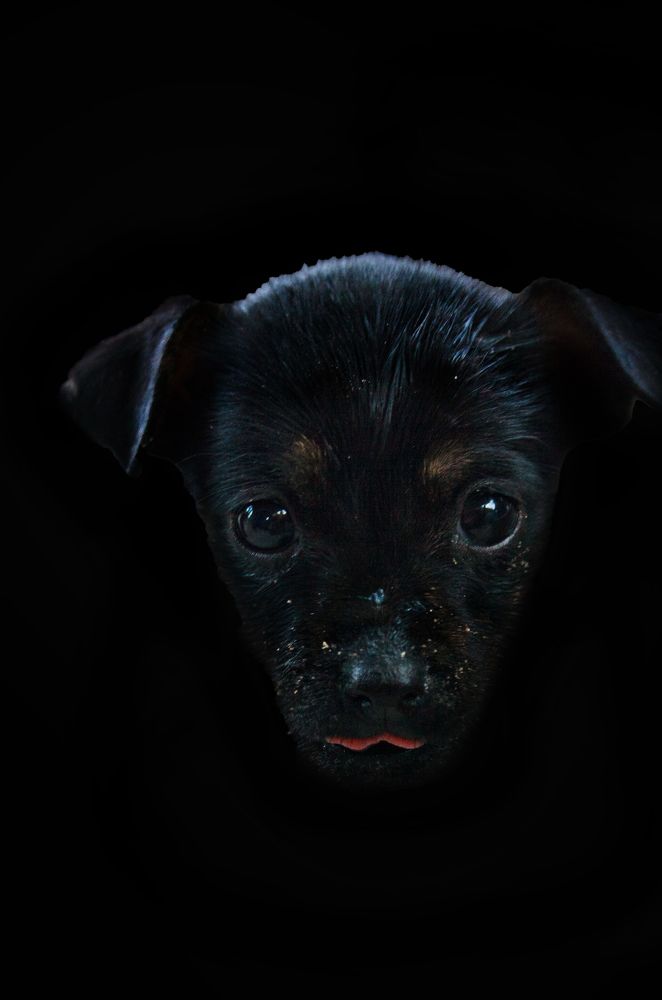 Photograph by Нелли