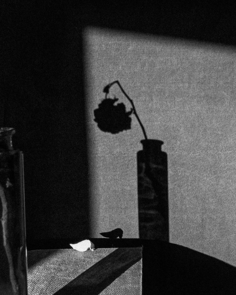 Photograph by Люда Яковлева