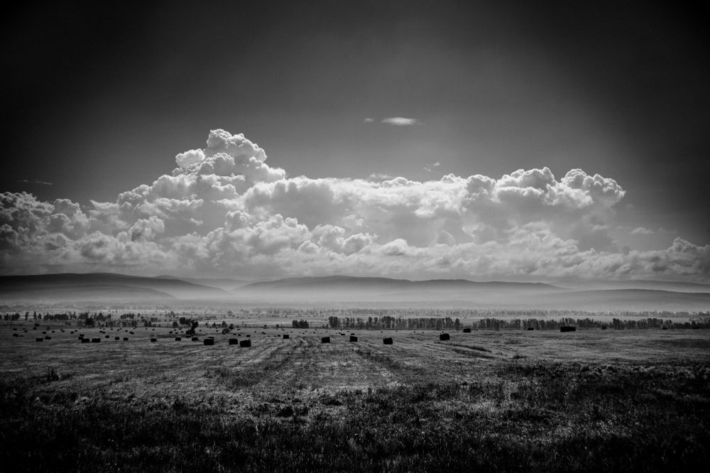 Photograph by Ершов Борис