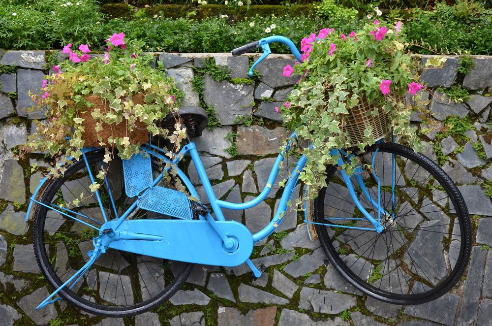 Photograph by Людмила Воропаева