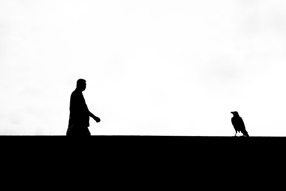 Фотография автора Laddu Sasindu Pramuditha De Silva