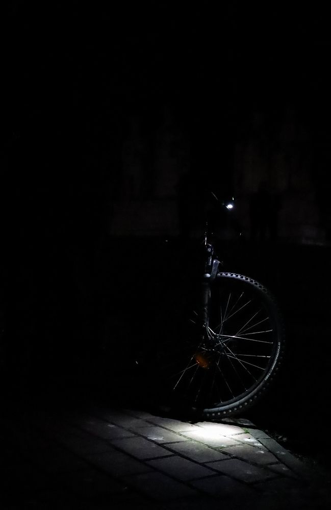 Photograph by Grădinaru Catalin