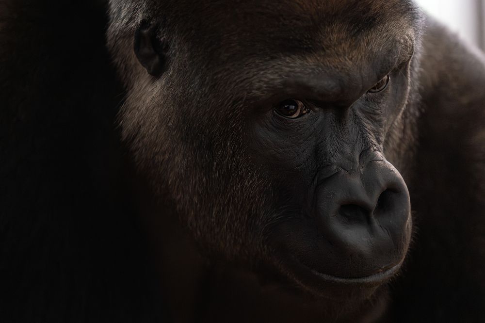 Photograph by Ni Bruce