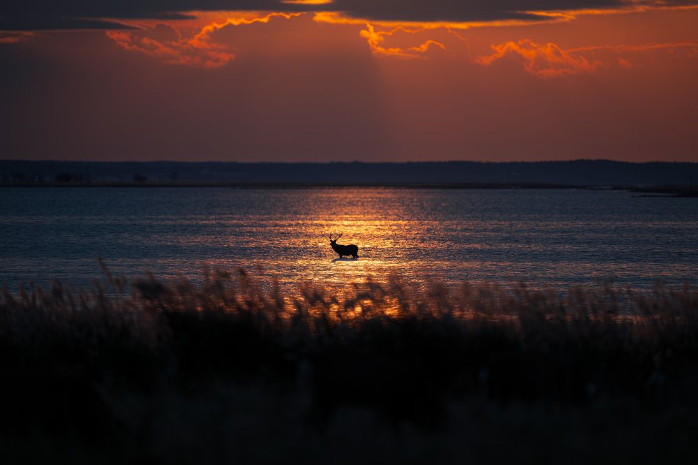 Photograph by Utsunomiya Ryo