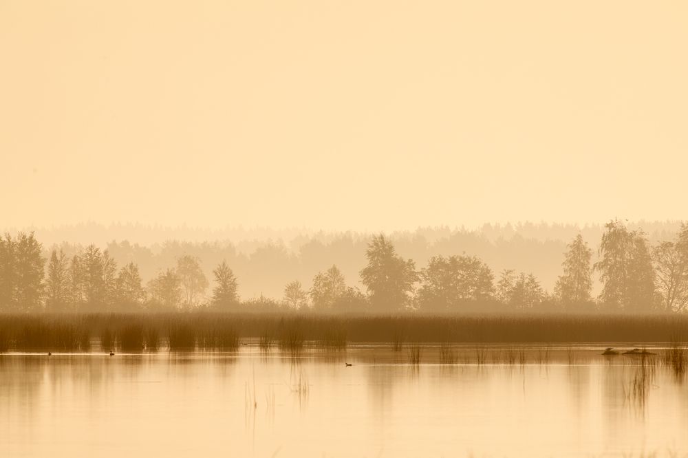 Фотография автора Владимир Борисов