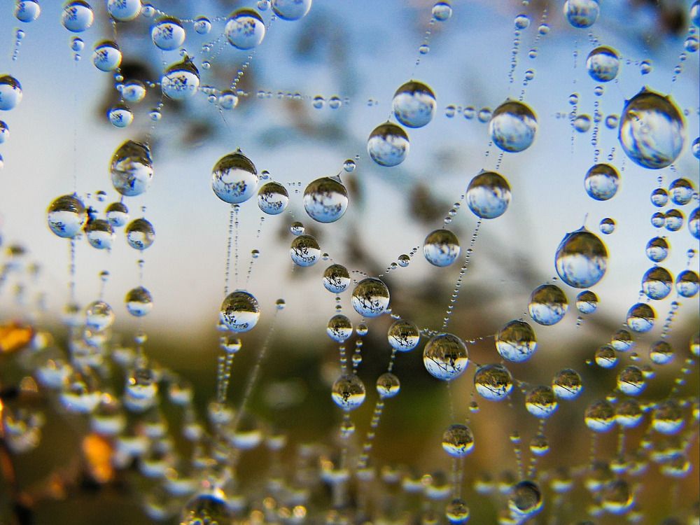 Бусы рассвета