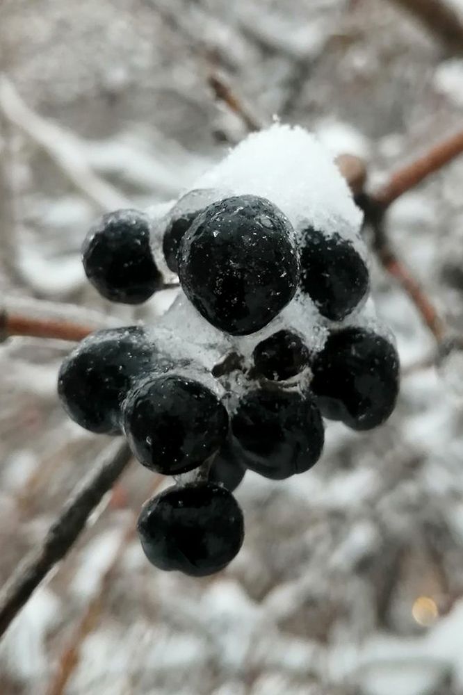 Photograph by Анна Устинова