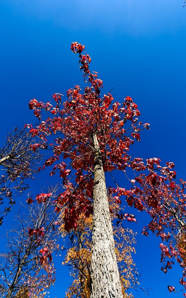 Photograph by Grădinaru Catalin