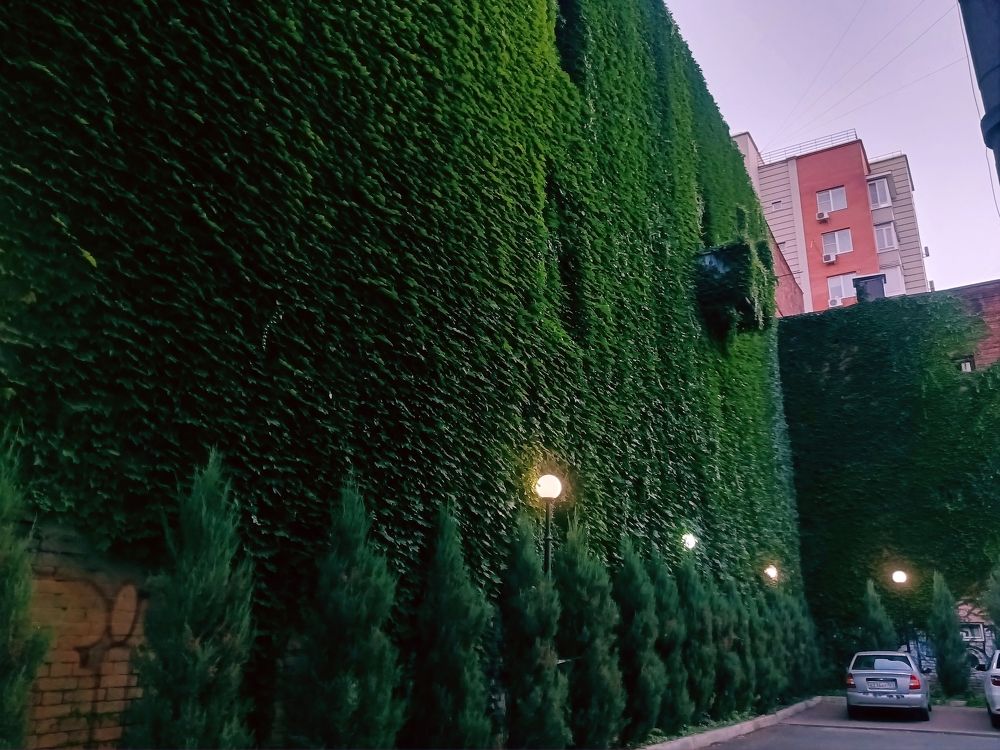 Photo #11324942