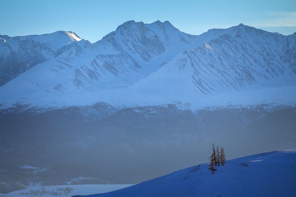 В дымке голубой.
