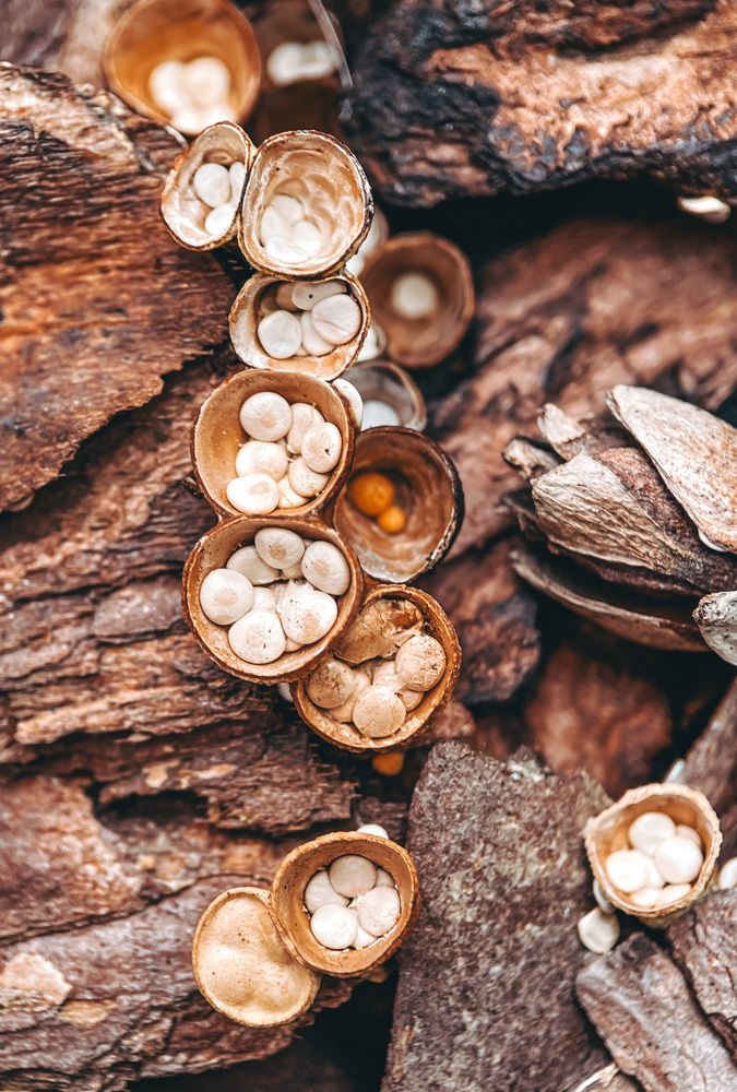 Фотография автора Рамзия Хисамутдинова