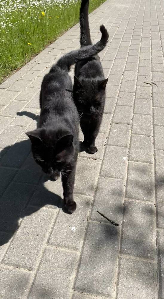 Photograph by Людмила Казак