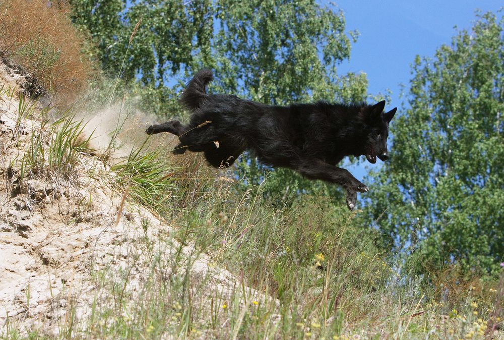 Фотография автора Надежда Лисицына