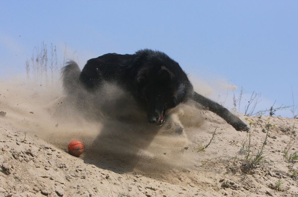Фотография автора Надежда Лисицына