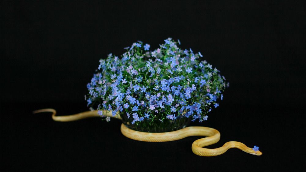 Photograph by Екатерина Родина