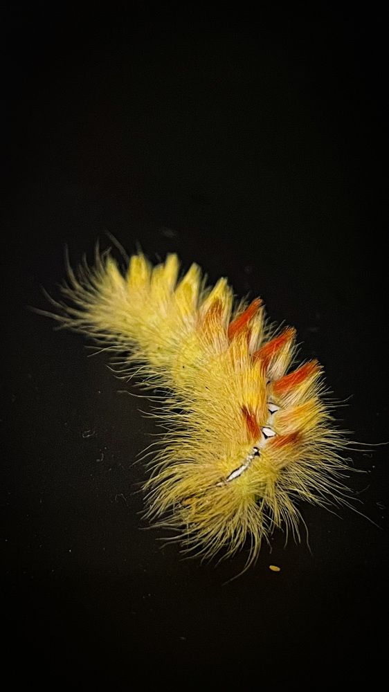 Photograph by Людмила Казак