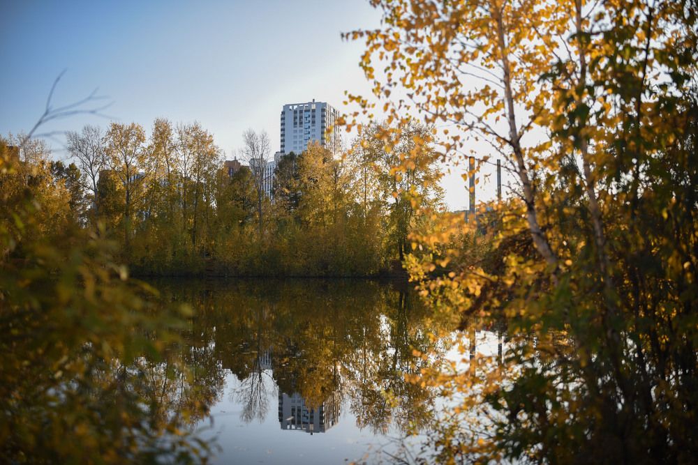 Photograph by Виктория Шамурина