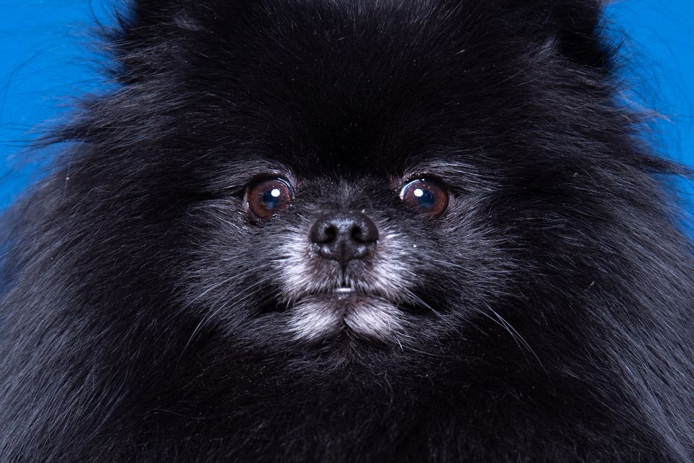 Photograph by наталья залогина