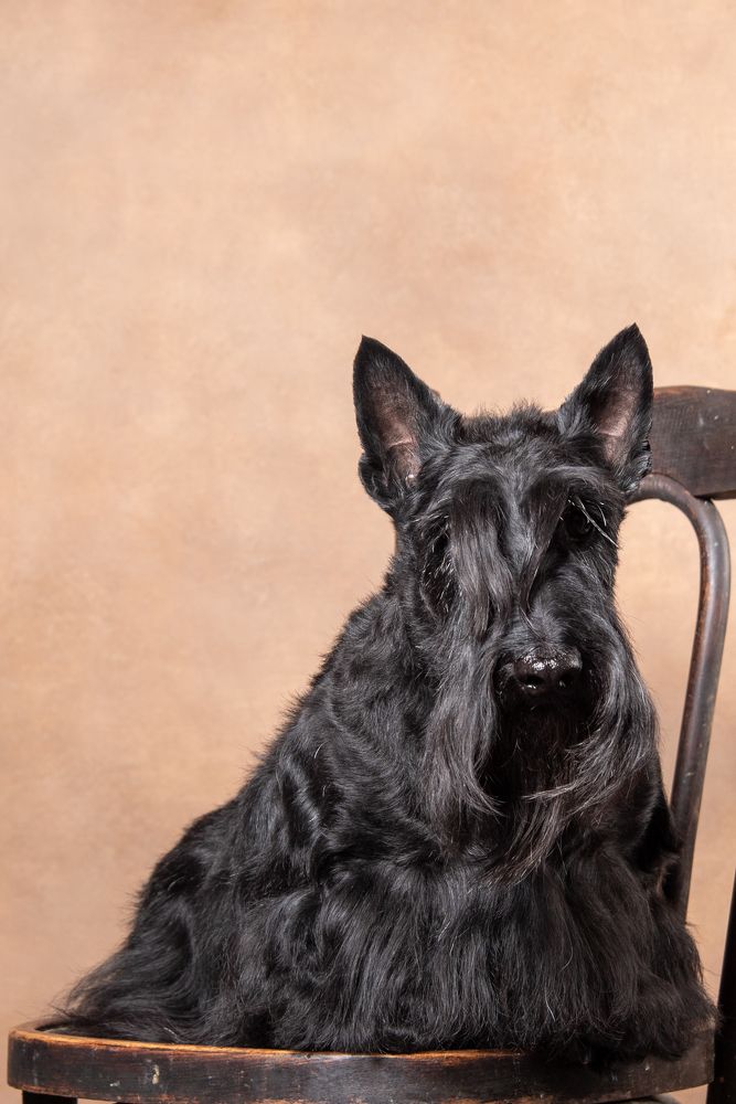 Photograph by наталья залогина